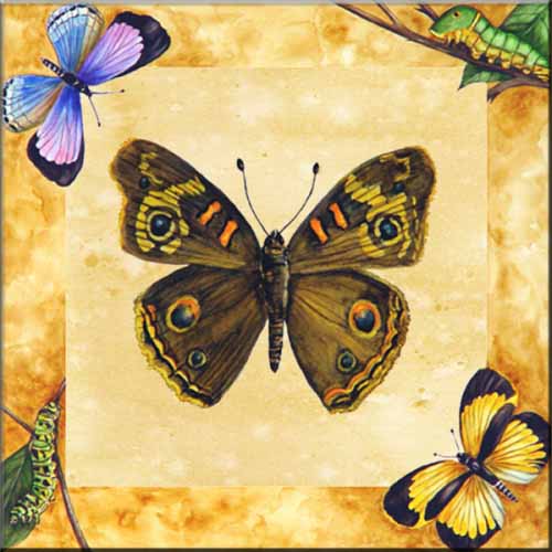 JR-Buckeye Butterfly with Background – Accent Tile