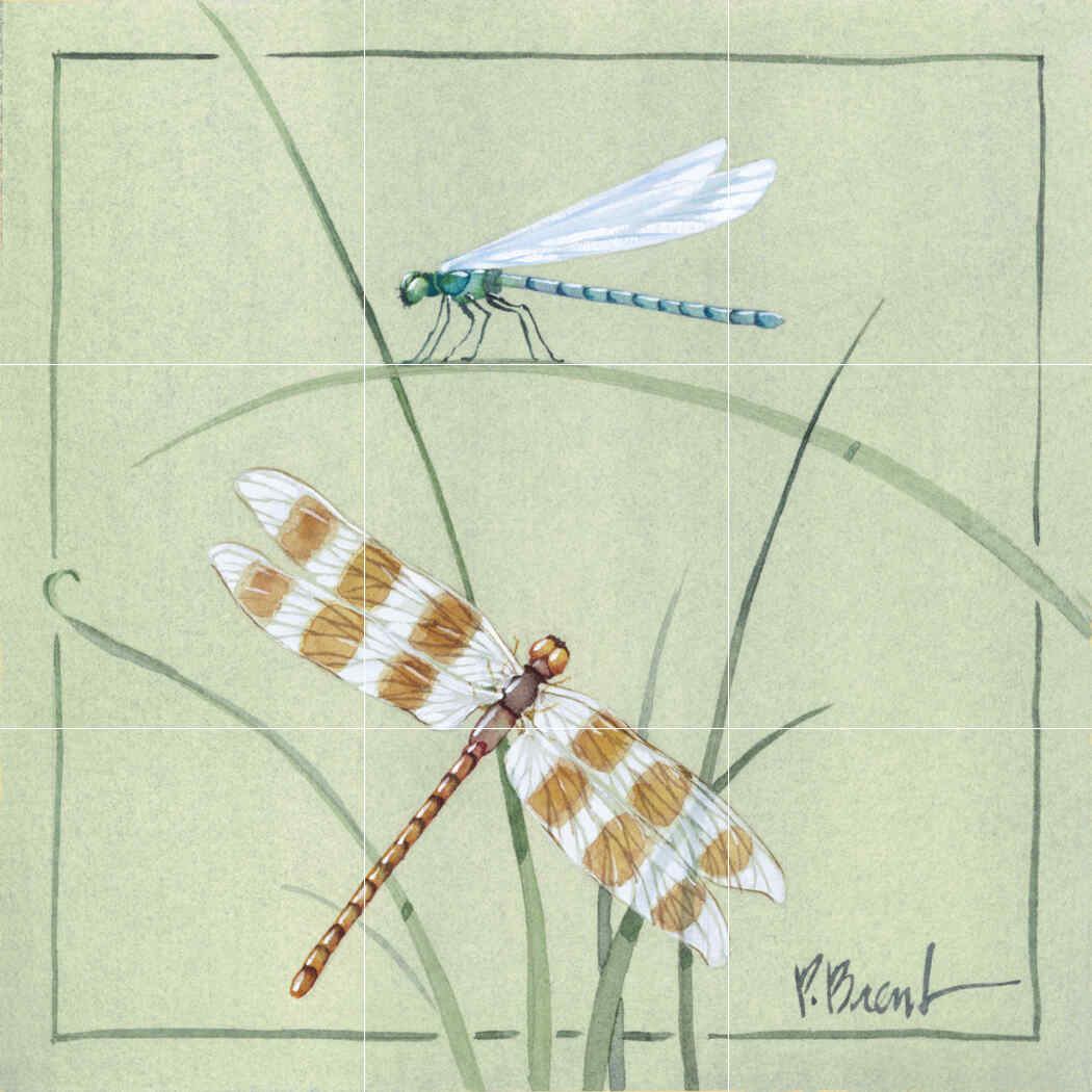 PB-Damselfly – Porcelain Tile Mural