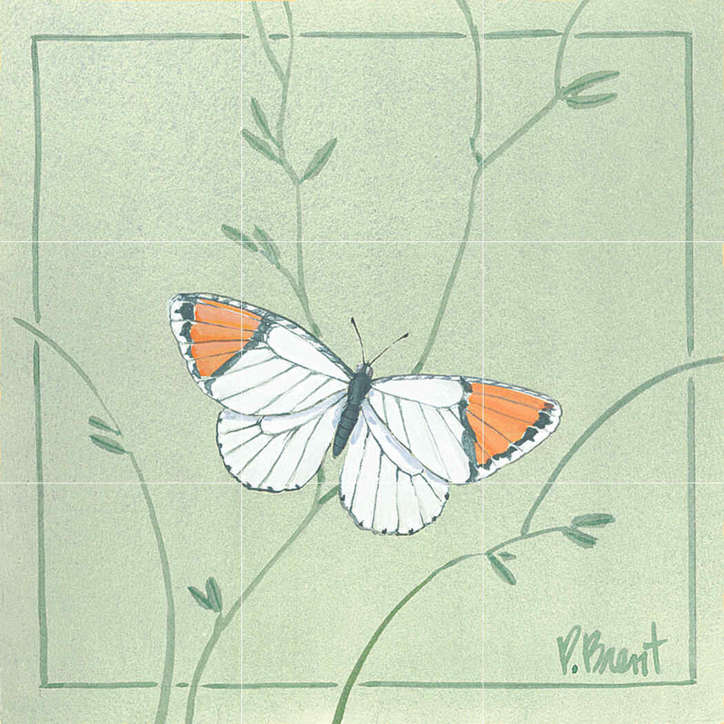 PB-Orange Tip Butterfly – Porcelain Tile Mural