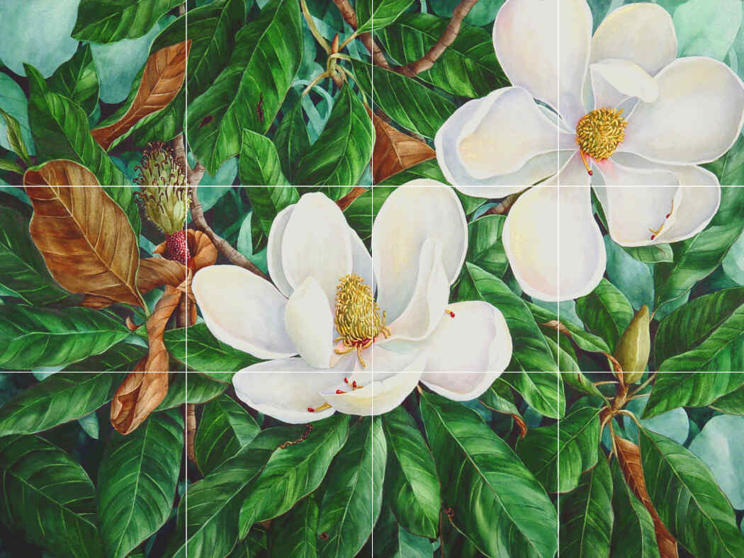 Magnolia Grandaflora – Porcelain Tile Mural