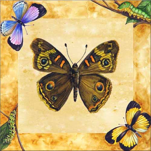 Buckeye Butterfly with Background – Porcelain Tile Mural