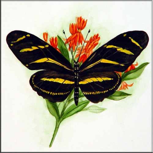 Zebra Butterfly on Weed – Porcelain Tile Mural