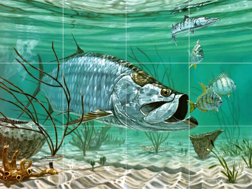 Marquesas Keys Tarpon-DR – Porcelain Tile Mural