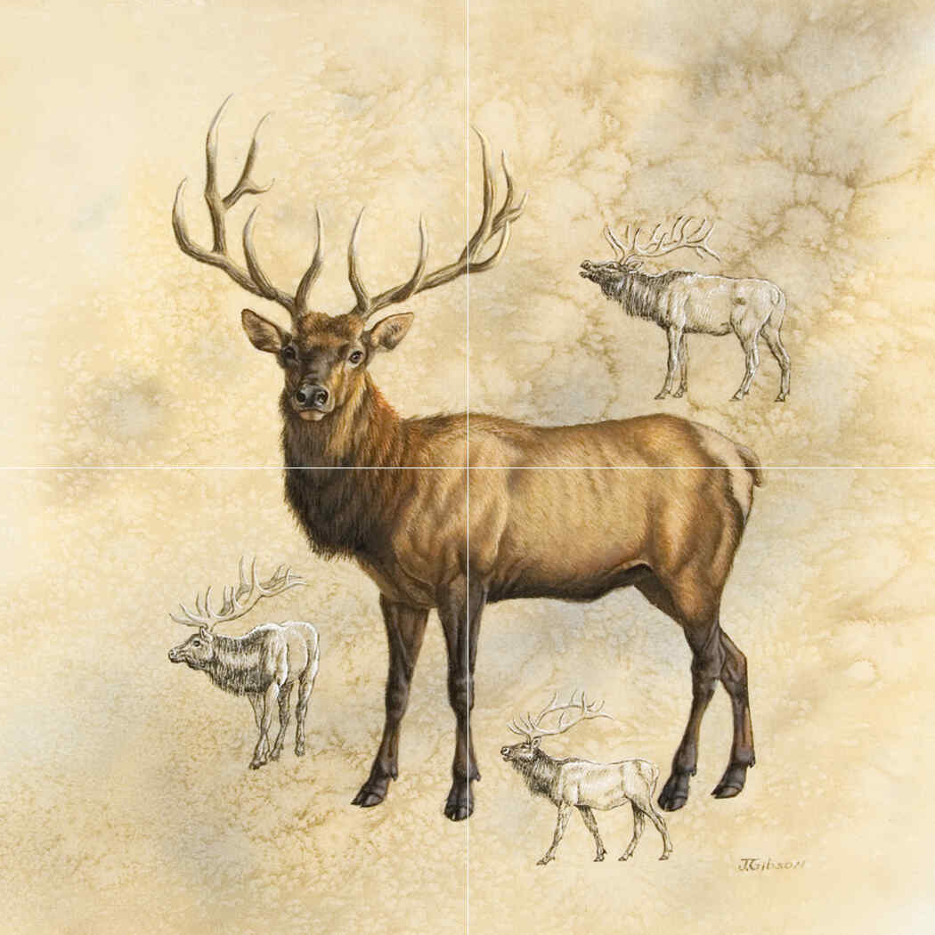 Elk-JG – Porcelain Tile Mural