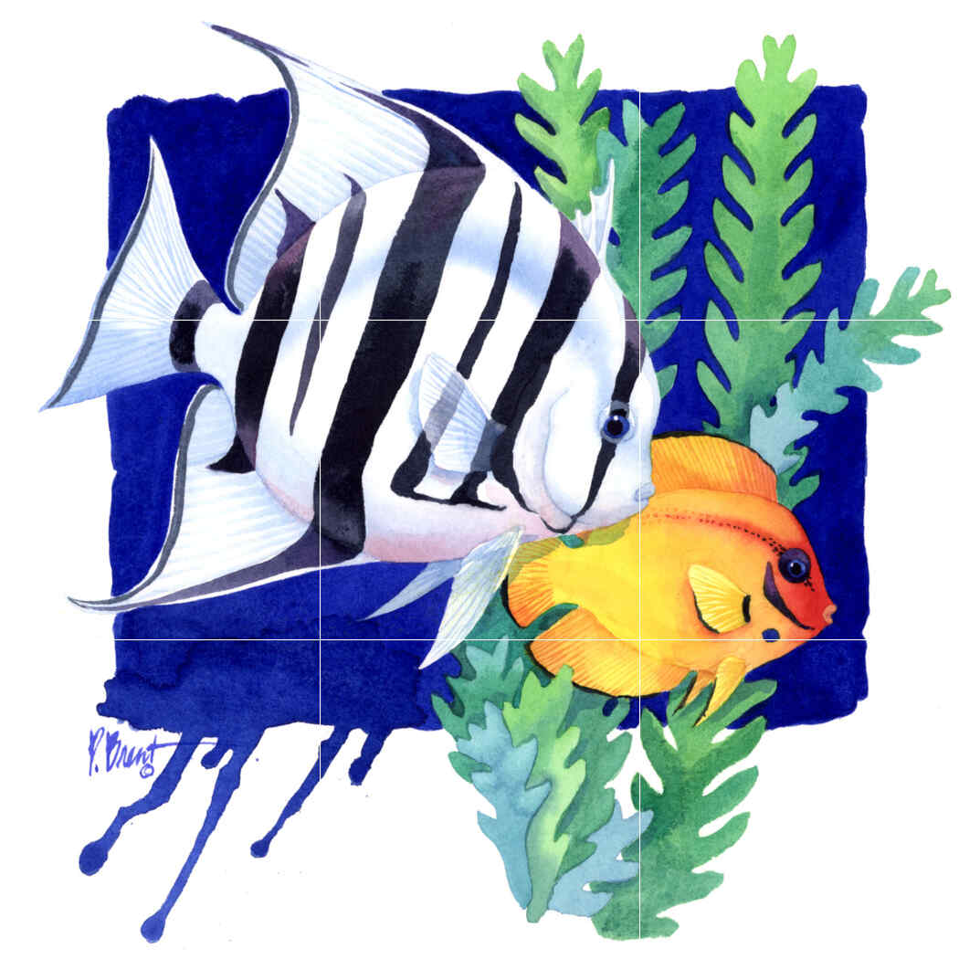 PB- Atlantic Spade Fish – Affordable Tile Mural