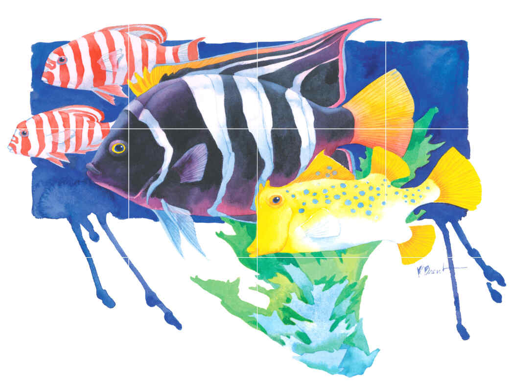 PB- King Angel Fish – Affordable Tile Mural