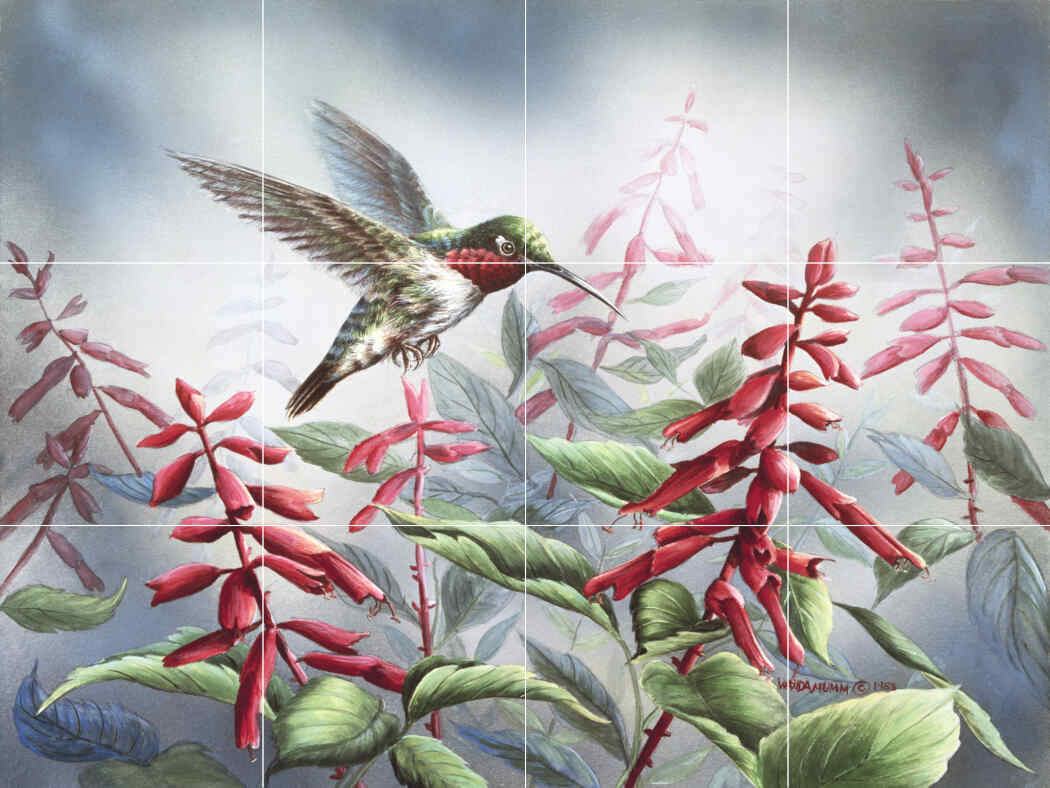 Summer Hummingbird-WM – Affordable Tile Mural