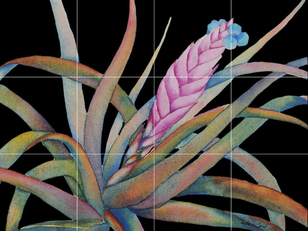 Bromeliad IV – Affordable Tile Mural