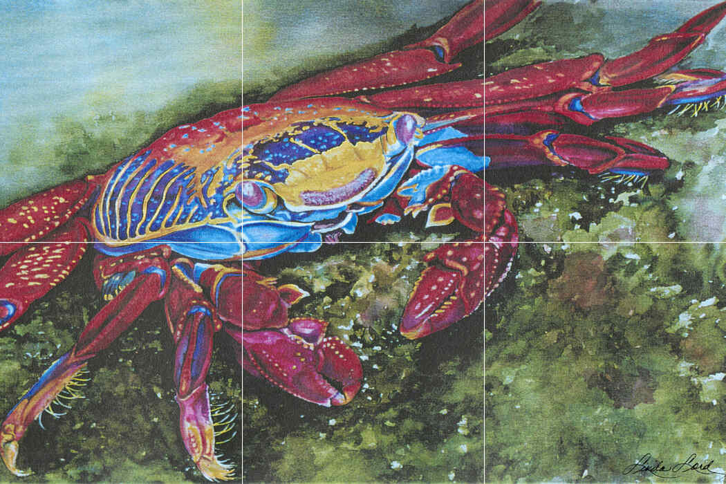 Rock Crab – Affordable Tile Mural