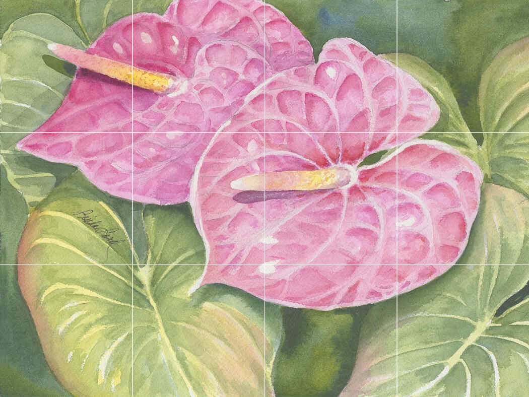 Anthurium – Affordable Tile Mural