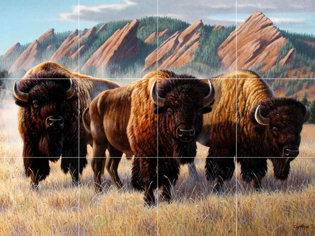 Bison Under The Flatirons-CF – Affordable Tile Mural