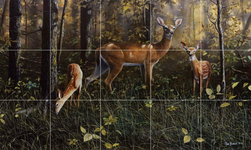 Emerald Forest-JH – Affordable Tile Mural