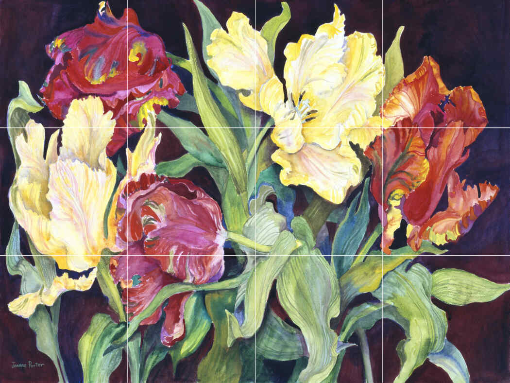 Red and Yellow Parrot Tulips – Affordable Tile Mural